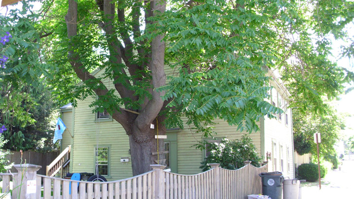 BEV.7 -- Morgan, Capt. William House 36 Front St, Beverly Morgan, Capt. William House, 36 Front St, c 1779